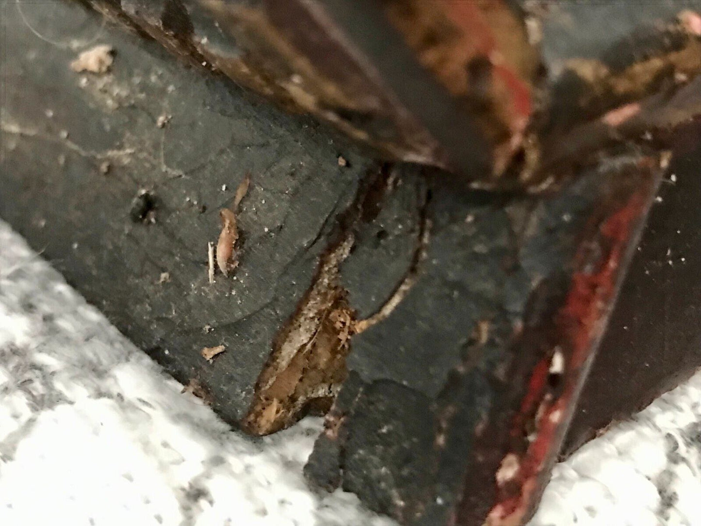 Antik? Alt 2 Holztruhen Kisten Kästen Aufbewahrung Holz Bauernmalerei