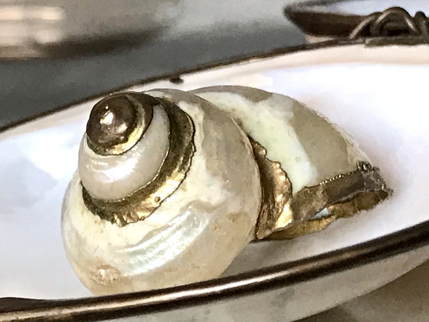 Antik? Alt Muschel Seemuschel goldfarbene Metallmontur Messing? Zierobjekt
