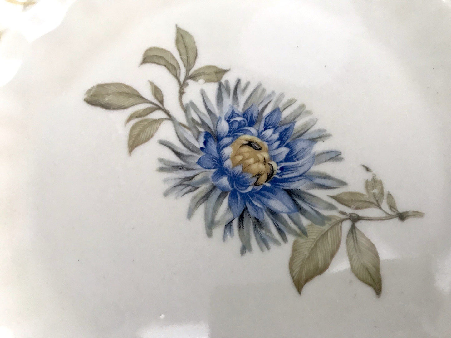 Antik Art Déco Porzellan 1 Kaffee-Gedeck Sammeltasse Distel? Motiv elfenbein