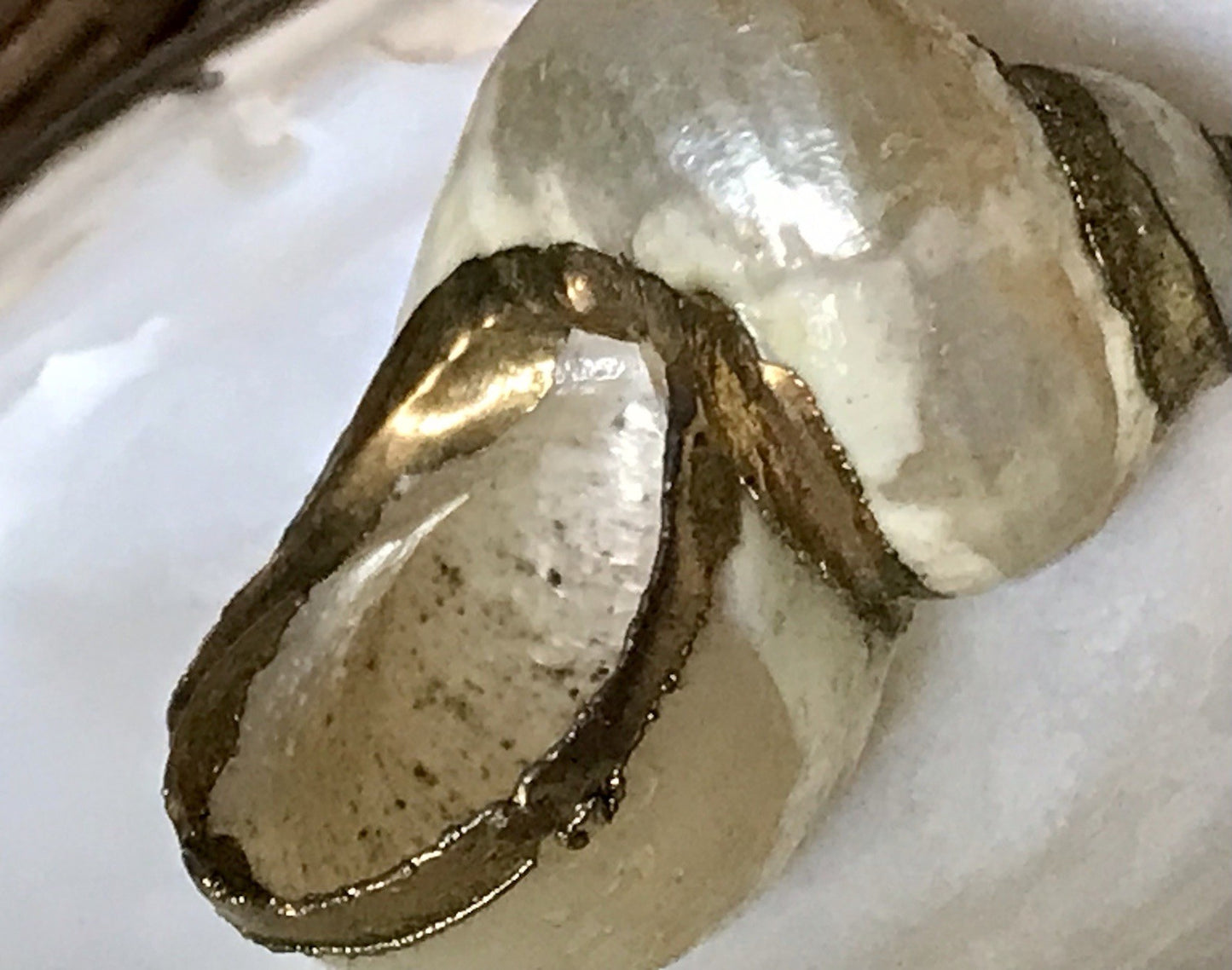 Antik? Alt Muschel Seemuschel goldfarbene Metallmontur Messing? Zierobjekt