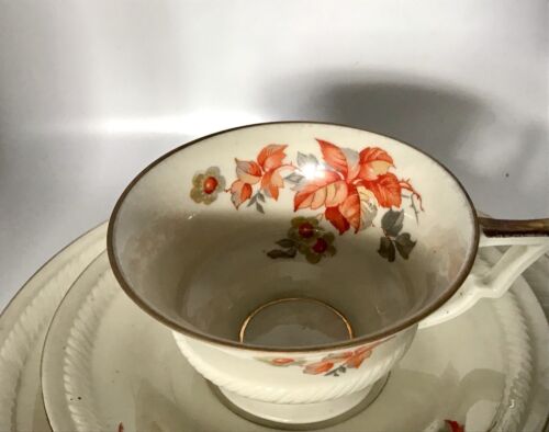 Image #9