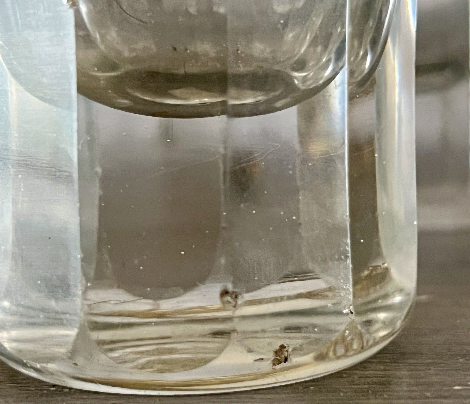 Antik ~1870 2 hohe Becher Gläser Glas Schälschliff  Oliven Eichstrich Dubben?