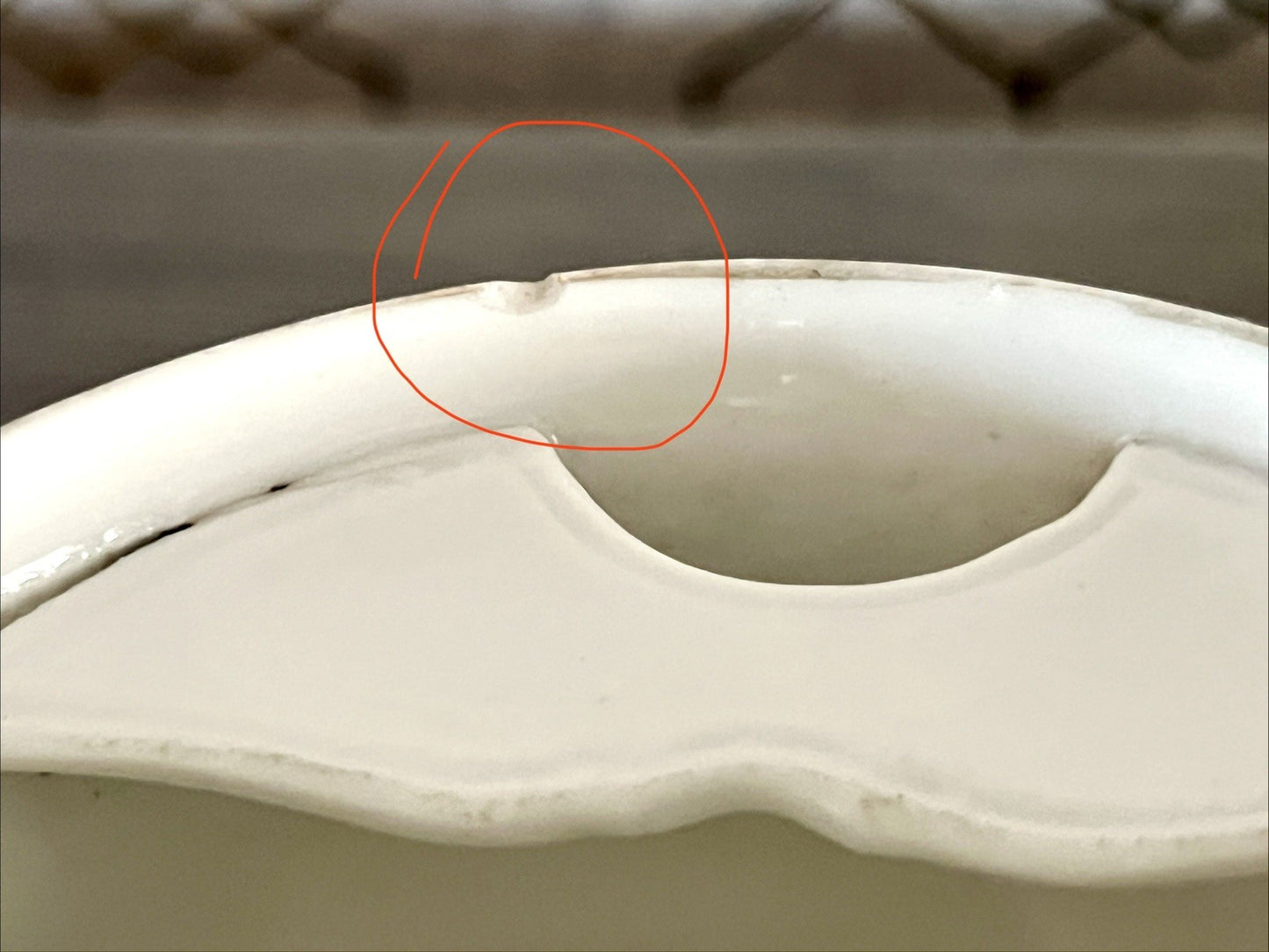 Antik Rosenhäferl Porzellan Andenken Tasse Zum Andenken Stucktasse Barttasse