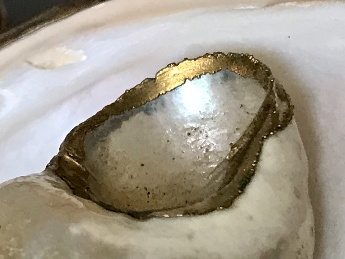 Antik? Alt Muschel Seemuschel goldfarbene Metallmontur Messing? Zierobjekt
