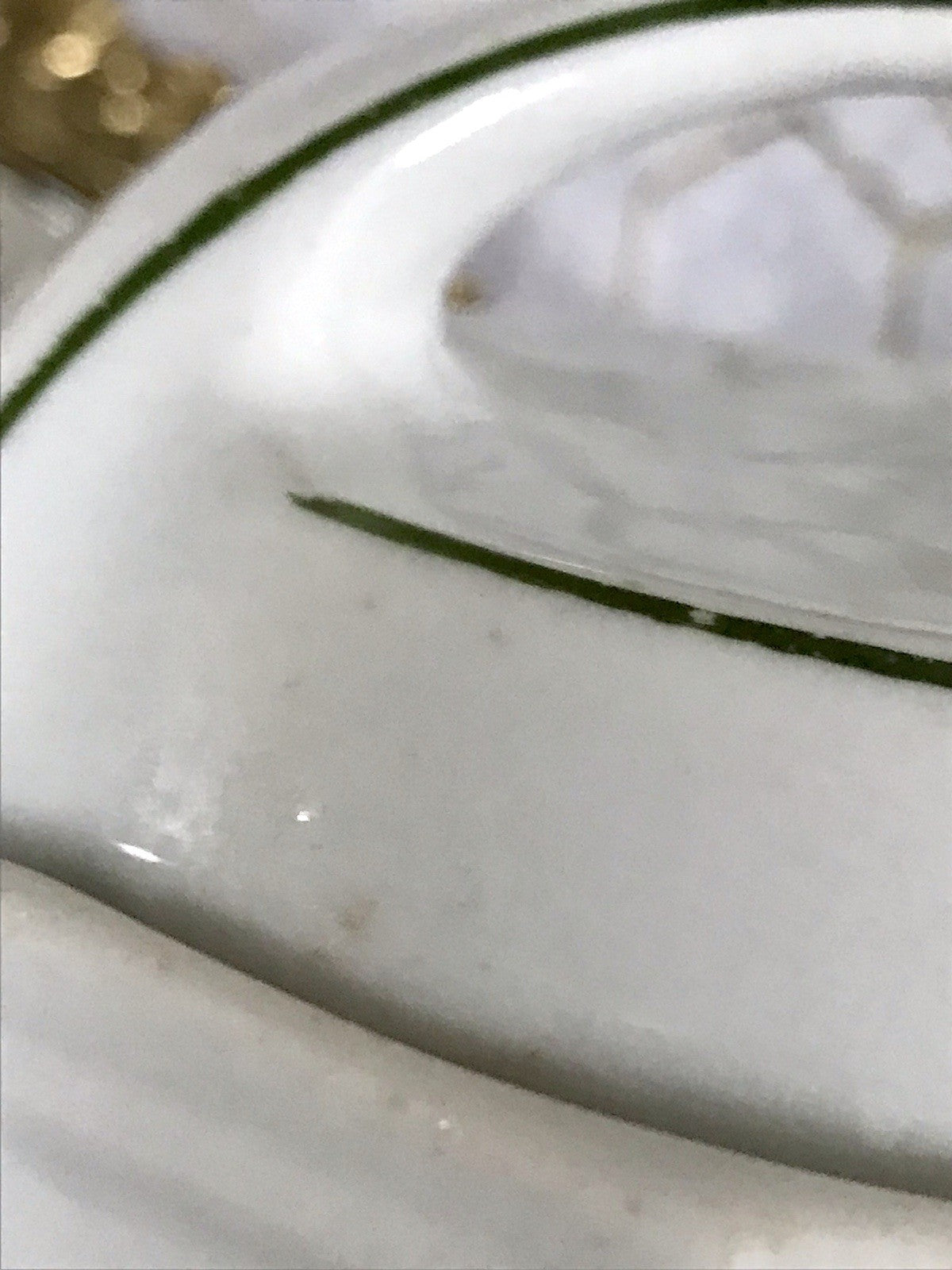 Antik Porzellan Dose Vorratsgefäß Vorratsdose Gries Rosen Jugendstil Art Déco