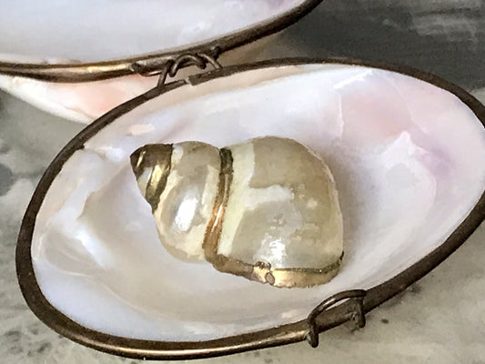 Antik? Alt Muschel Seemuschel goldfarbene Metallmontur Messing? Zierobjekt