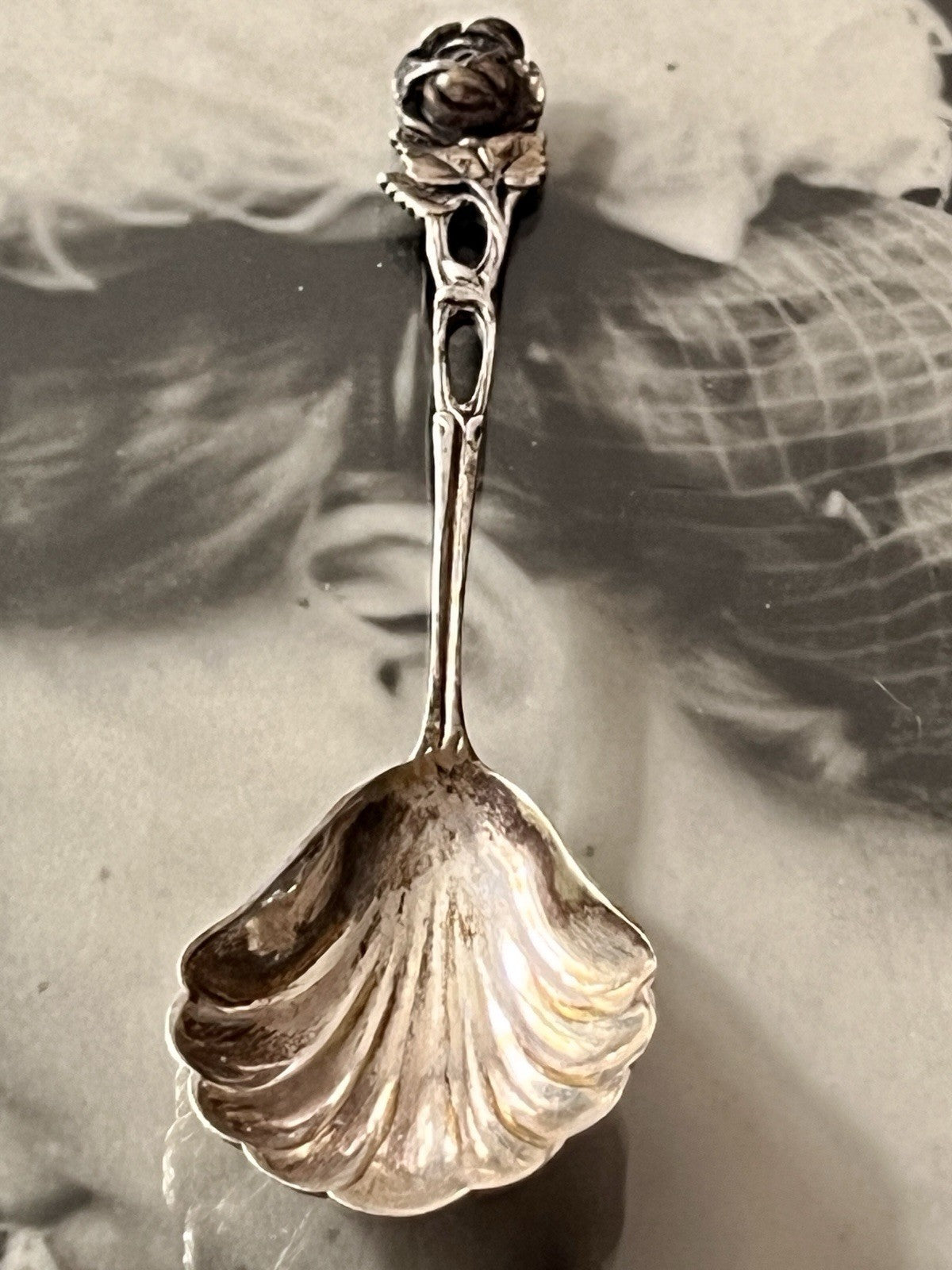 Antik Alt Zucker Löffel 800 Silber 15,19g Hildesheimer Rose Muschel-Laffe