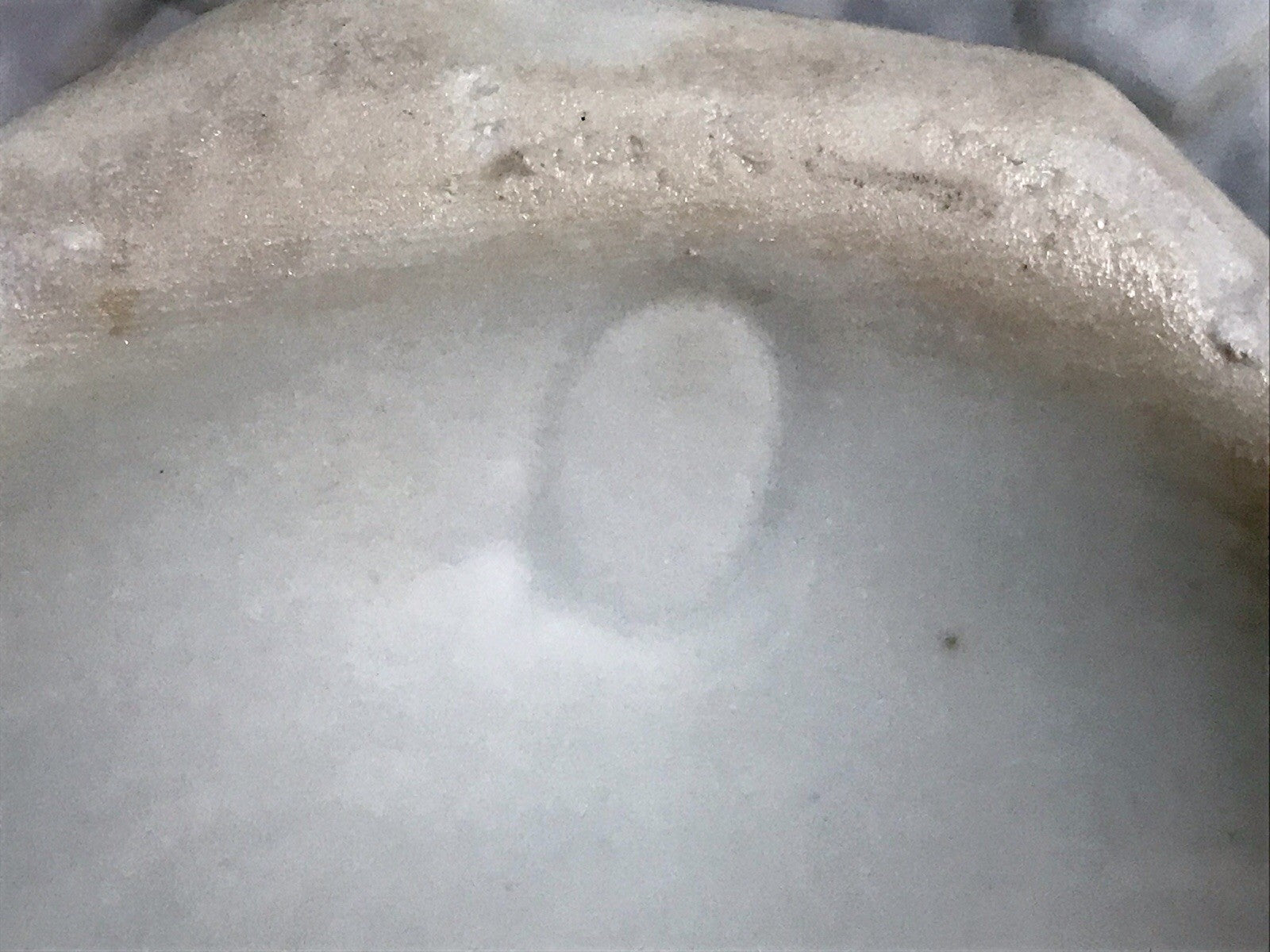 Antik Porzellan Dose Vorratsgefäß Vorratsdose Gries Rosen Jugendstil Art Déco