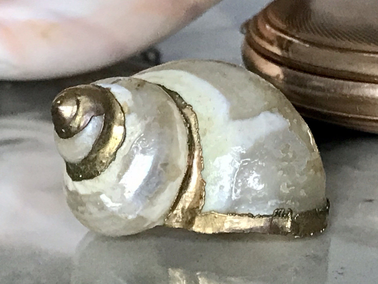 Antik? Alt Muschel Seemuschel goldfarbene Metallmontur Messing? Zierobjekt