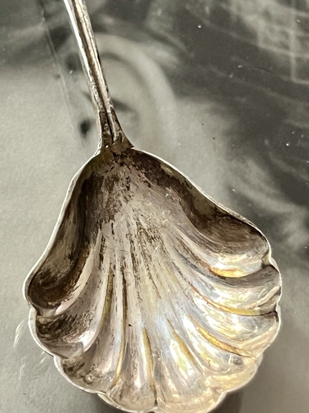 Antik Alt Zucker Löffel 800 Silber 15,19g Hildesheimer Rose Muschel-Laffe