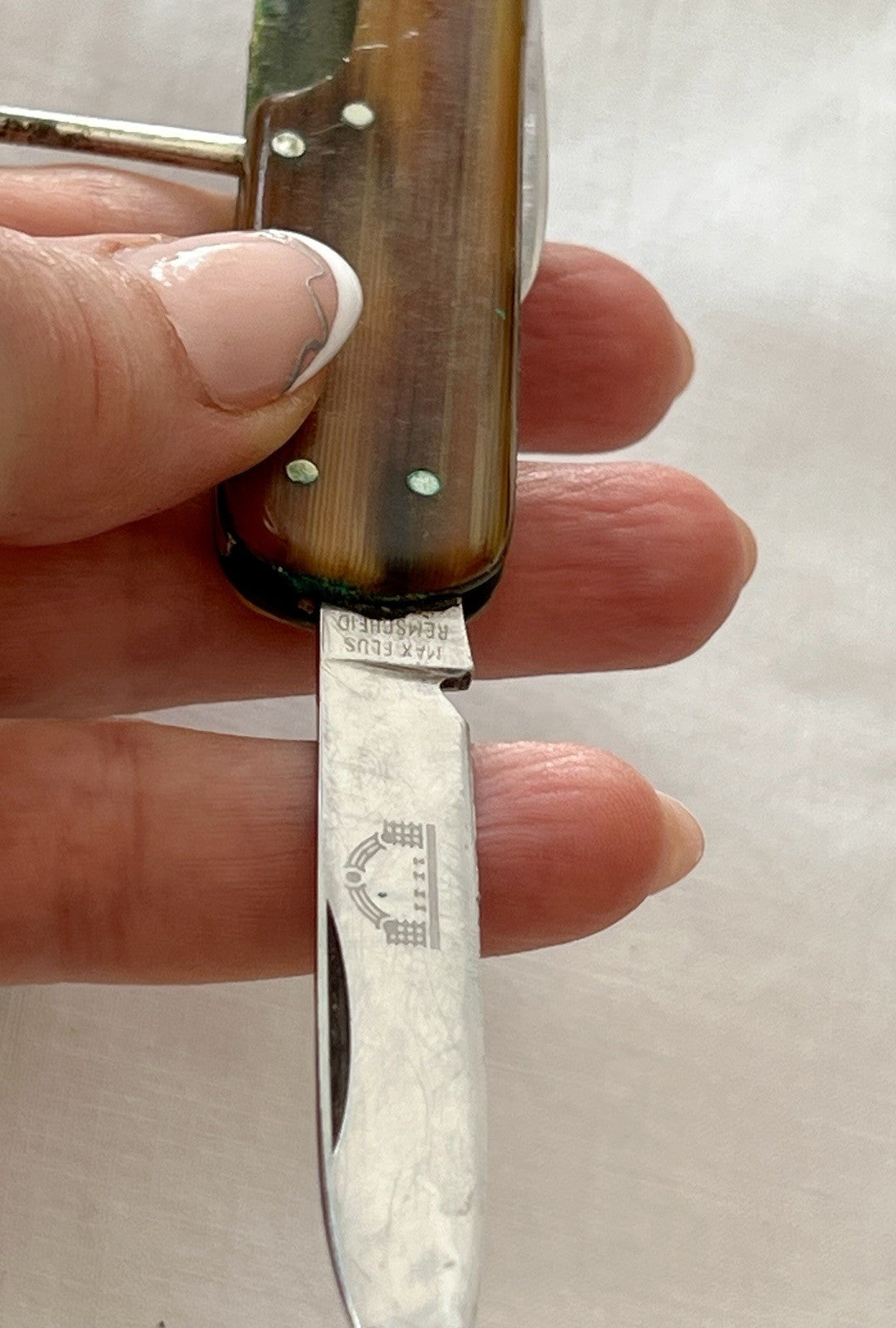 Antik Vintage Taschenmesser Klappmesser Jagdmesser Max Flus Remscheid Lederetui