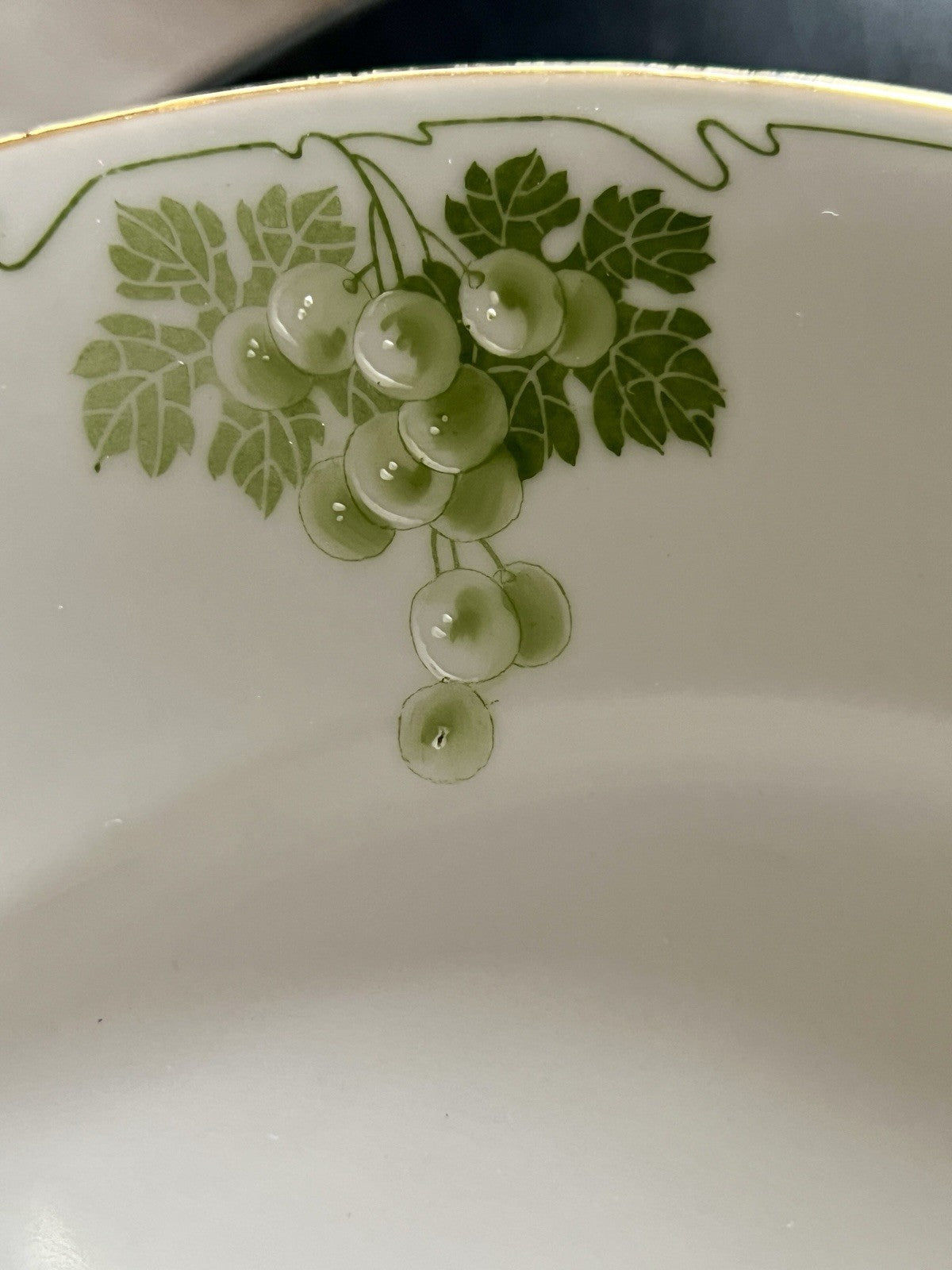 Antik Jugendstil Porzellan Tafelservice 11 Pers.- Kästner Saxonia Weinranken