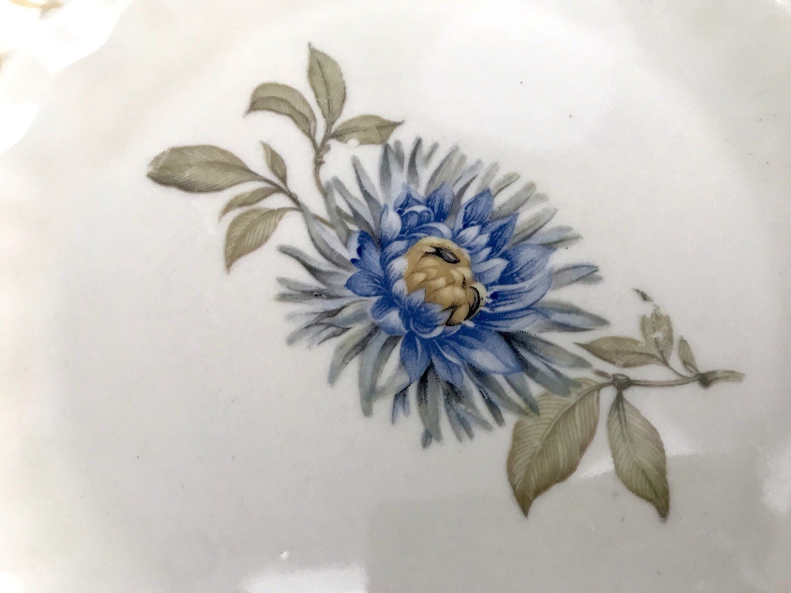 Antik Art Déco Porzellan 1 Kaffee-Gedeck Sammeltasse Distel? Motiv elfenbein