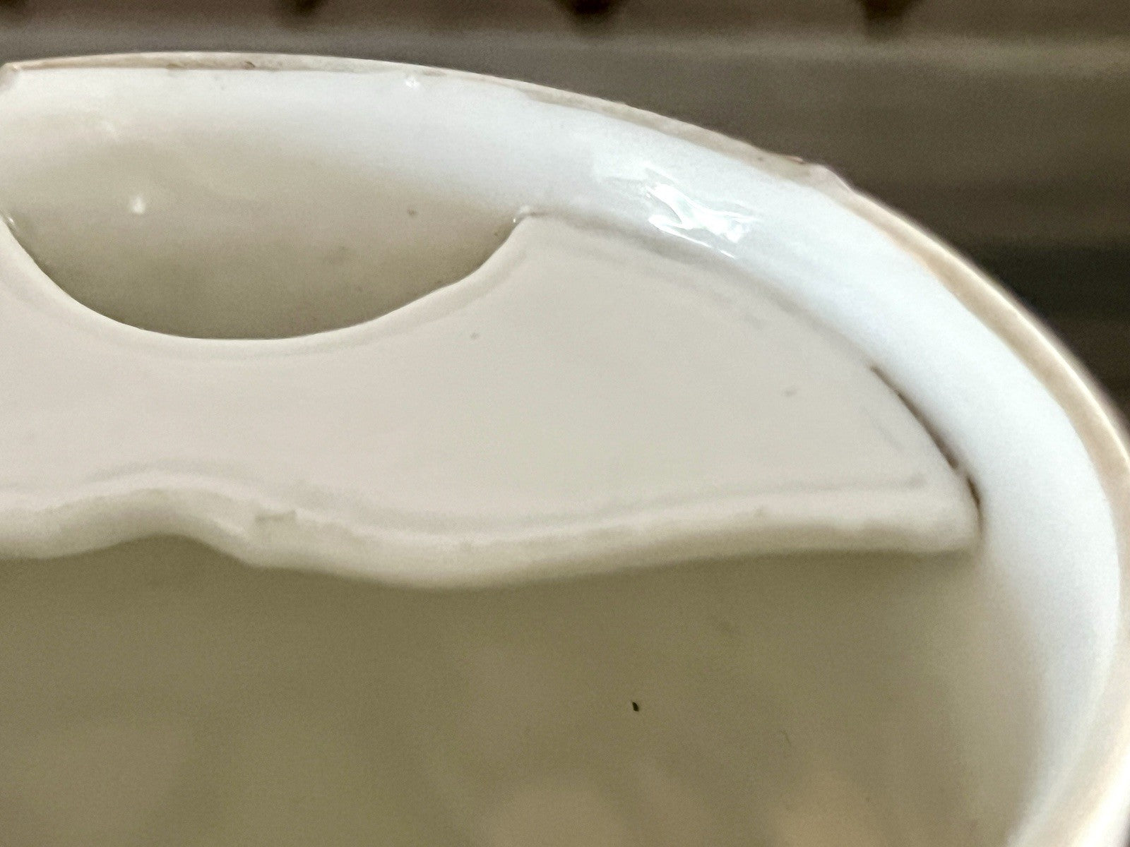 Antik Rosenhäferl Porzellan Andenken Tasse Zum Andenken Stucktasse Barttasse