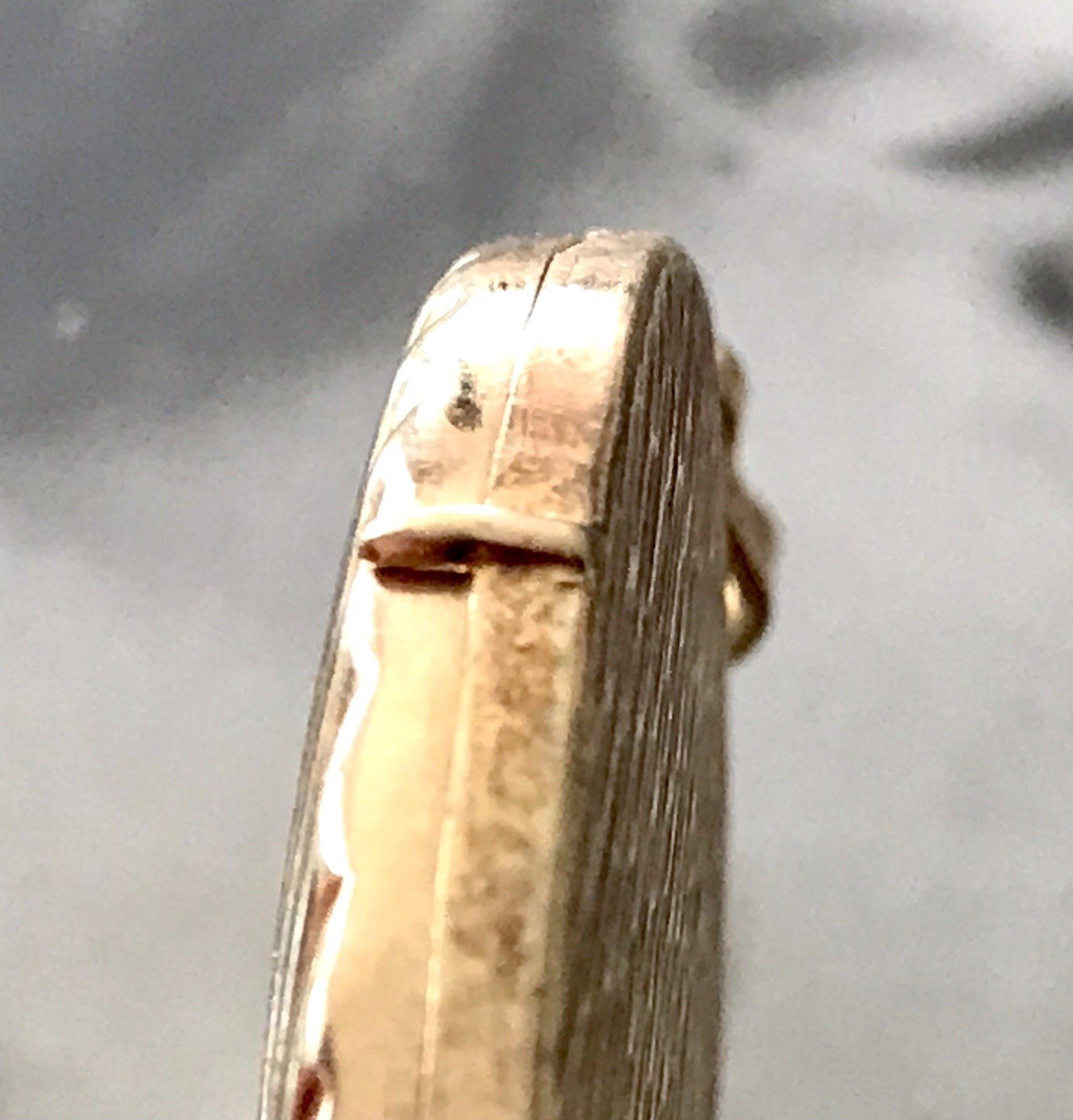 Vintage Kettenanhänger Anhänger Foto Medaillon Muschel Amerikan Double vergoldet