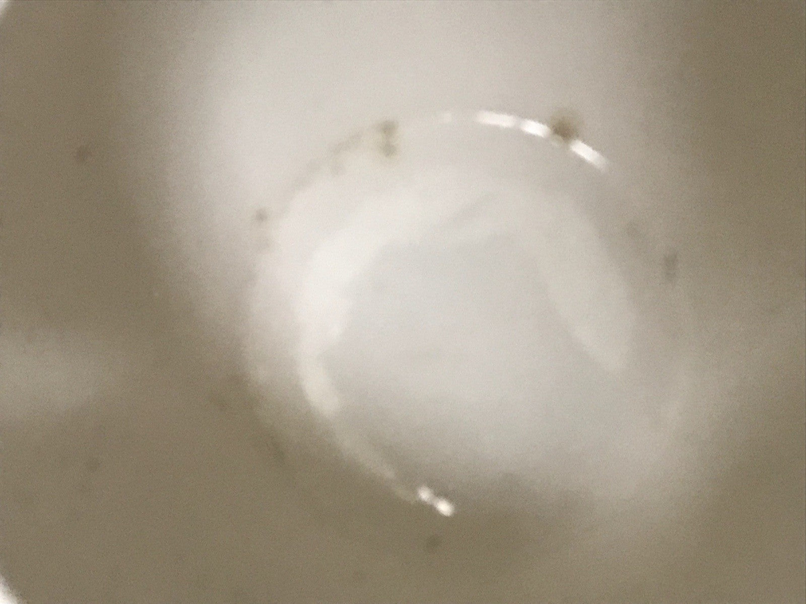 Antik alt Keramik Kanne Krug Schramberg? Dekor Coktail