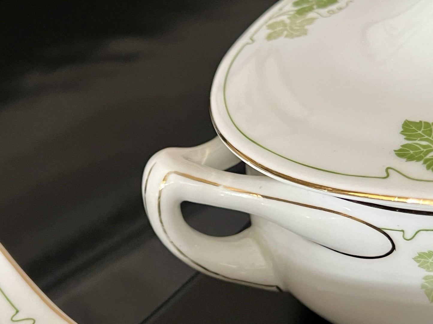 Antik Jugendstil Porzellan Tafelservice 11 Pers.- Kästner Saxonia Weinranken