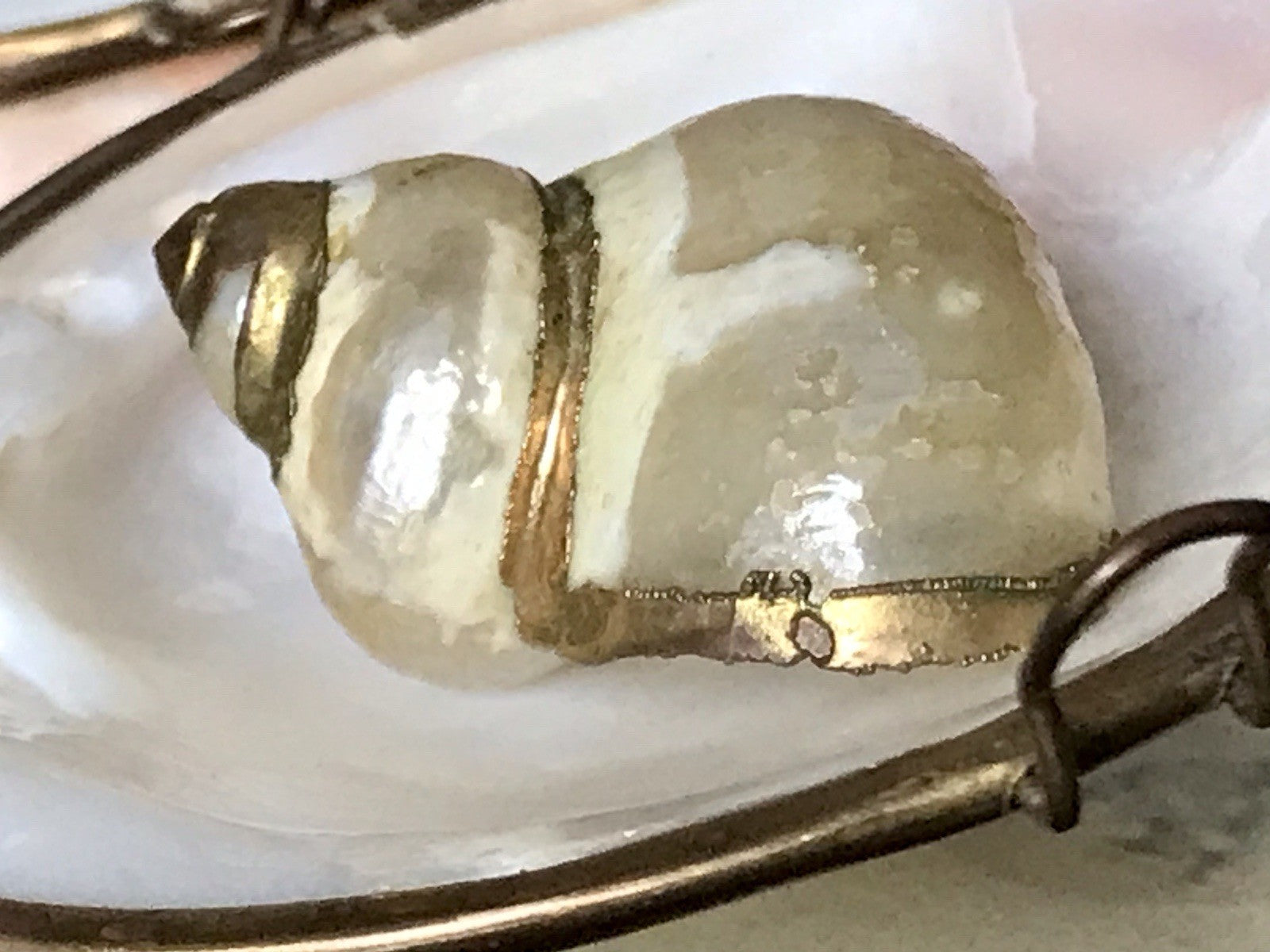 Antik? Alt Muschel Seemuschel goldfarbene Metallmontur Messing? Zierobjekt