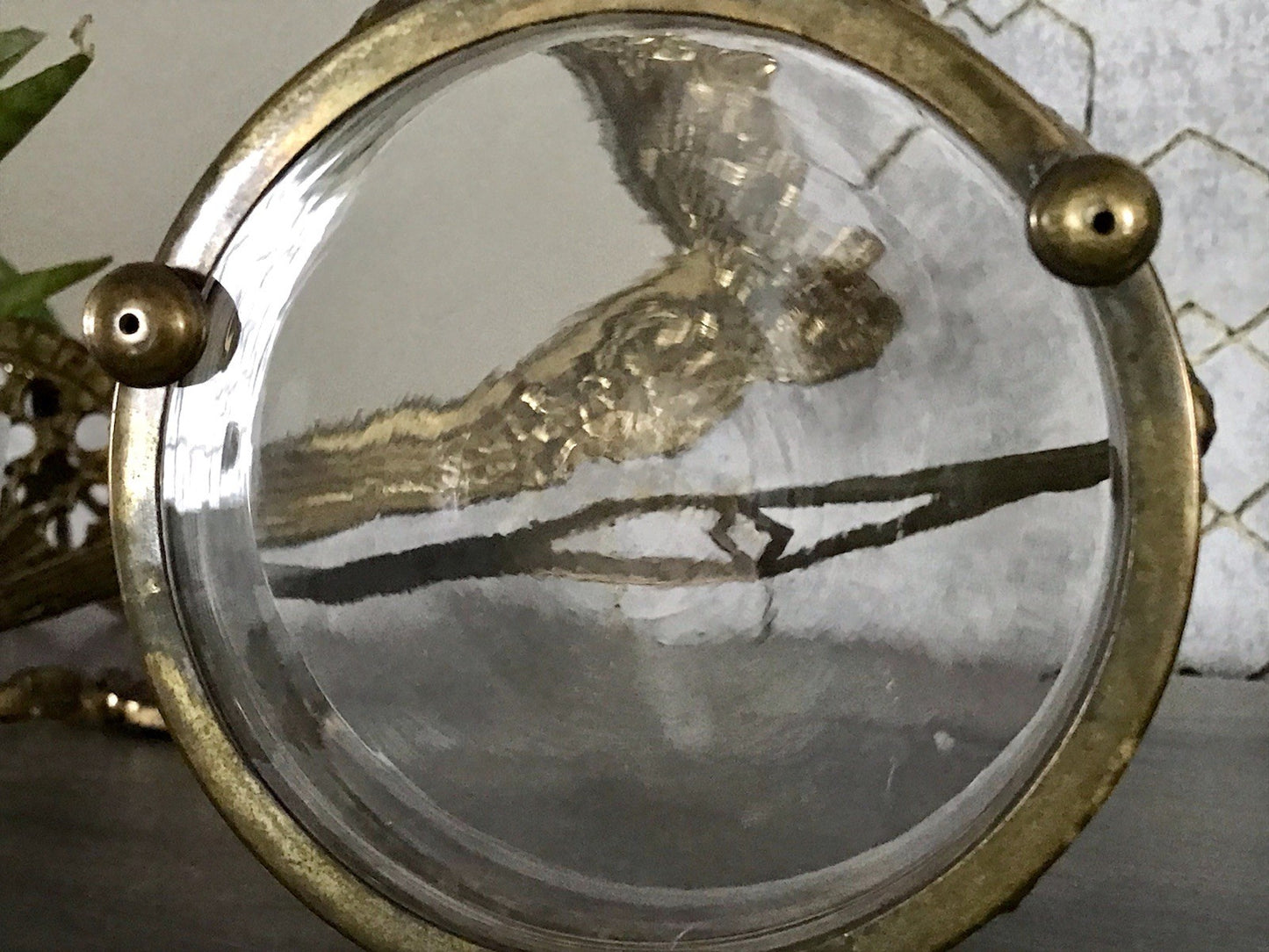 Antik Jugendstil Art  Déco Messing Montur Rosen Schale Bonboniere Glaseinsatz