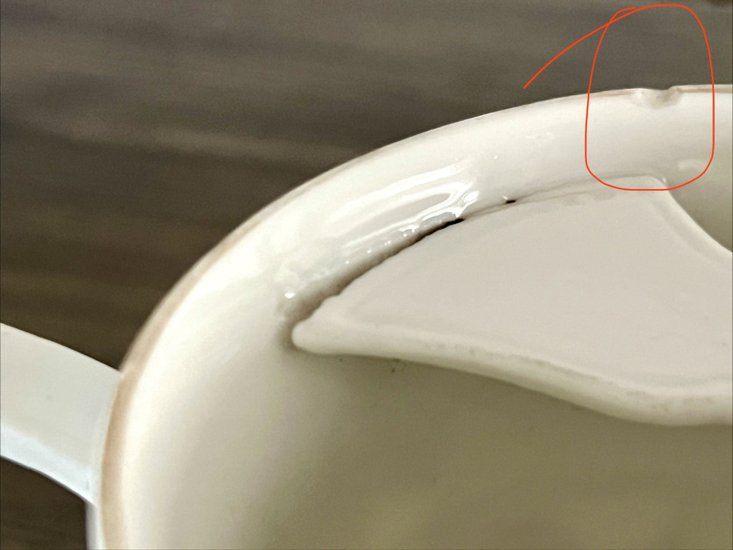 Antik Rosenhäferl Porzellan Andenken Tasse Zum Andenken Stucktasse Barttasse