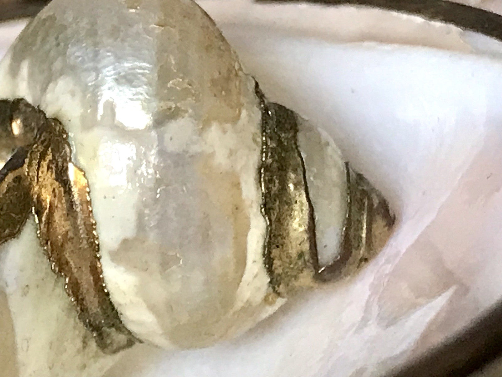 Antik? Alt Muschel Seemuschel goldfarbene Metallmontur Messing? Zierobjekt